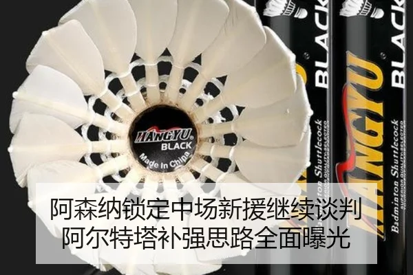 阿森纳锁定中场新援继续谈判 阿尔特塔补强思路全面曝光